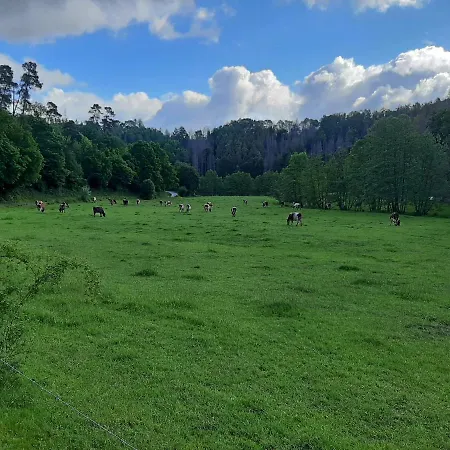 Haus An Der Werbe Kl Osterblick * 瓦尔德克