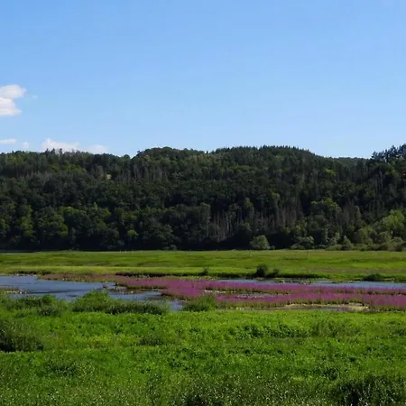 公寓 Haus An Der Werbe Kl Osterblick *