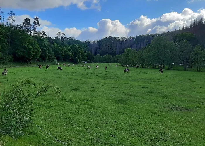 Haus An Der Werbe Kl Osterblick * Waldeck (Hessen)