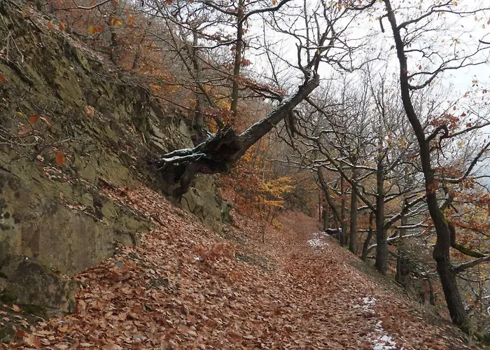 Haus An Der Werbe Kl Osterblick Waldeck (Hessen)